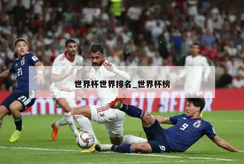 世界杯世界排名_世界杯榜