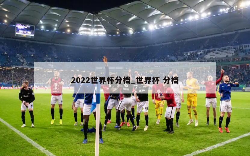 2022世界杯分档_世界杯 分档