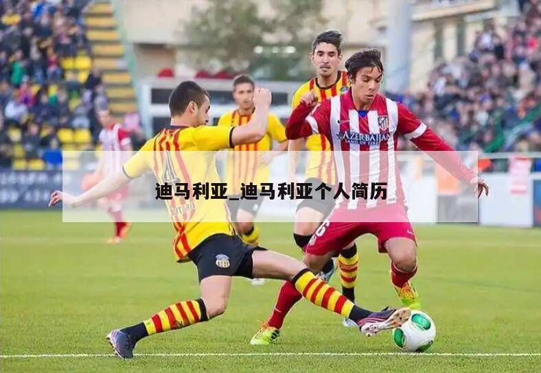 迪马利亚_迪马利亚个人简历