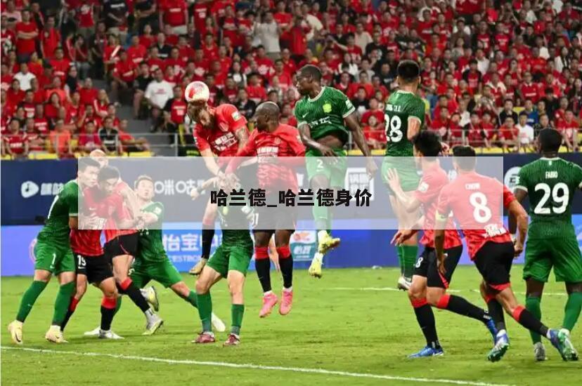 哈兰德_哈兰德身价