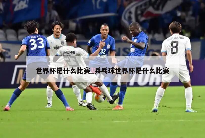 世界杯是什么比赛_兵乓球世界杯是什么比赛