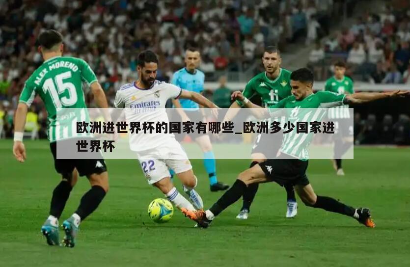 欧洲进世界杯的国家有哪些_欧洲多少国家进世界杯