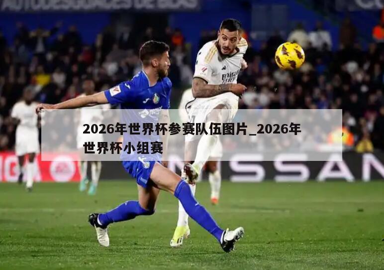 2026年世界杯参赛队伍图片_2026年世界杯小组赛