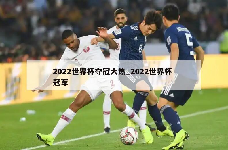 2022世界杯夺冠大热_2022世界杯 冠军