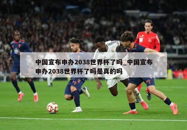 中国宣布申办2038世界杯了吗_中国宣布申办2038世界杯了吗是真的吗