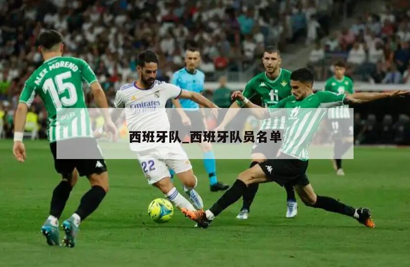 西班牙队_西班牙队员名单