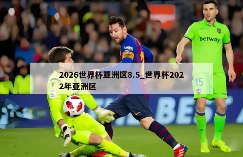 2026世界杯亚洲区8.5_世界杯2022年亚洲区