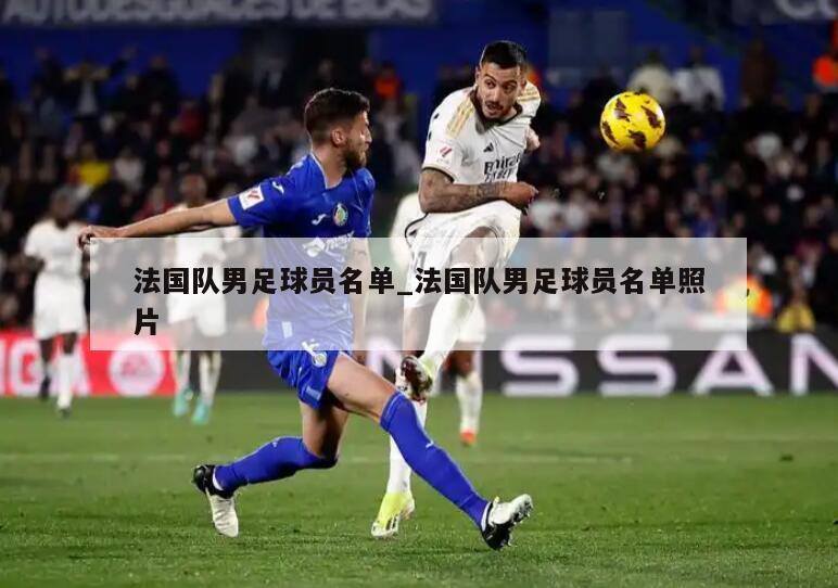 法国队男足球员名单_法国队男足球员名单照片