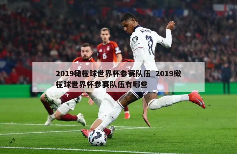 2019橄榄球世界杯参赛队伍_2019橄榄球世界杯参赛队伍有哪些
