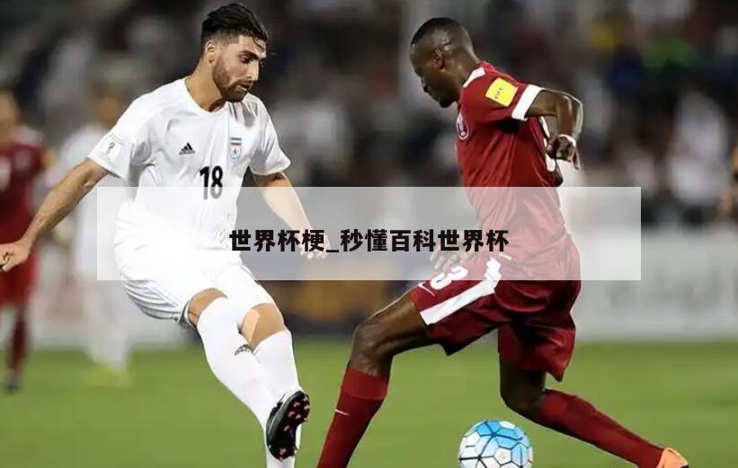 世界杯梗_秒懂百科世界杯