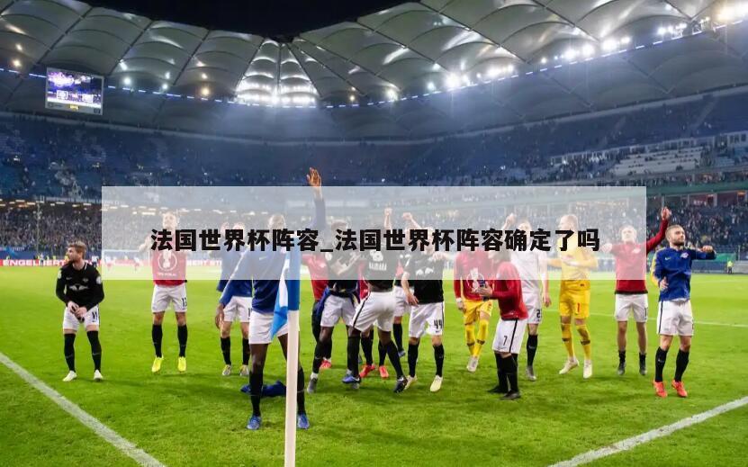 法国世界杯阵容_法国世界杯阵容确定了吗