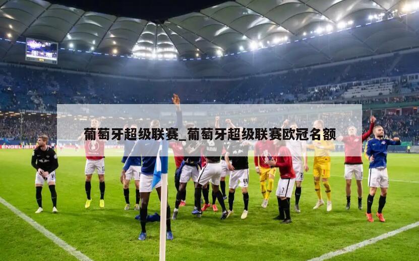 葡萄牙超级联赛_葡萄牙超级联赛欧冠名额