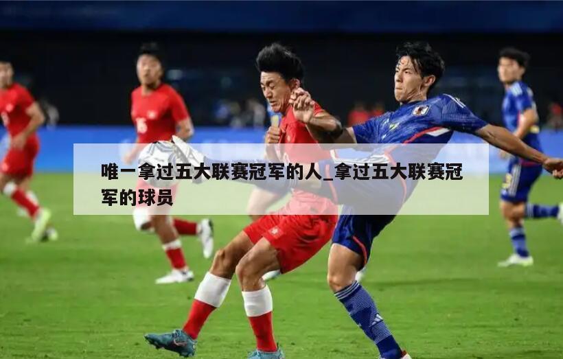 唯一拿过五大联赛冠军的人_拿过五大联赛冠军的球员