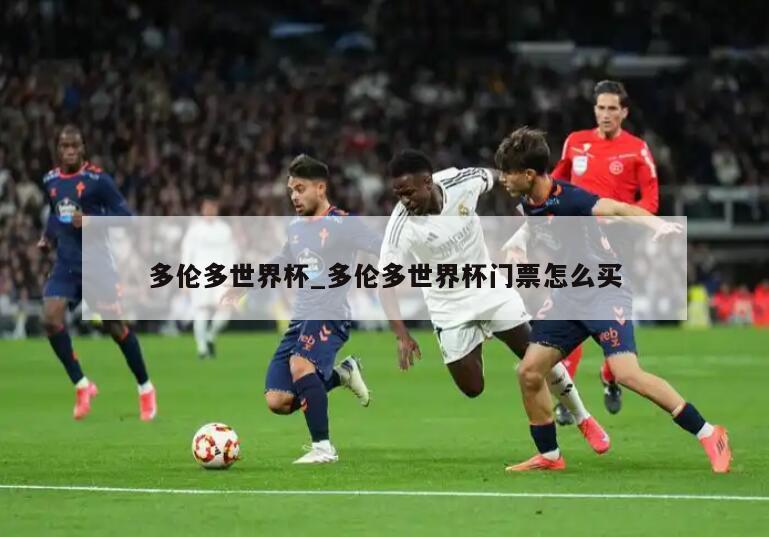 多伦多世界杯_多伦多世界杯门票怎么买
