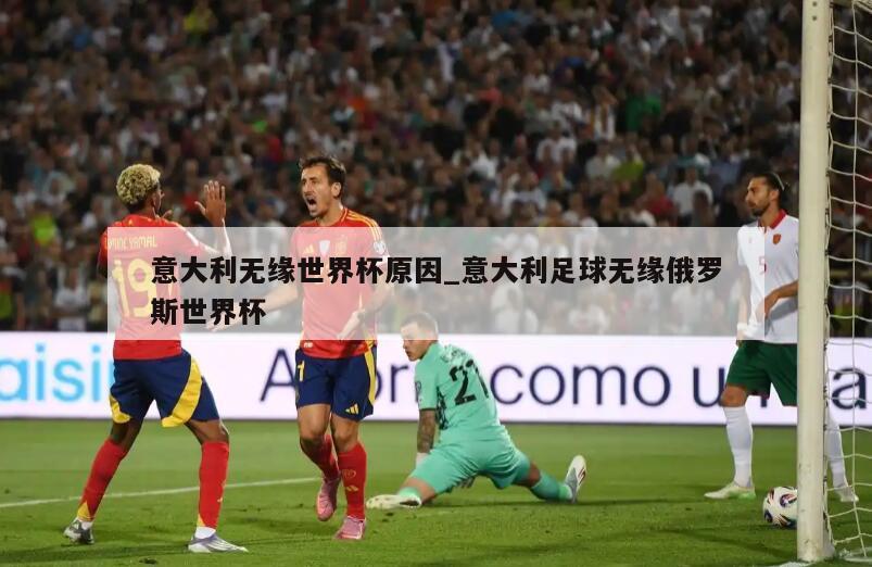 意大利无缘世界杯原因_意大利足球无缘俄罗斯世界杯