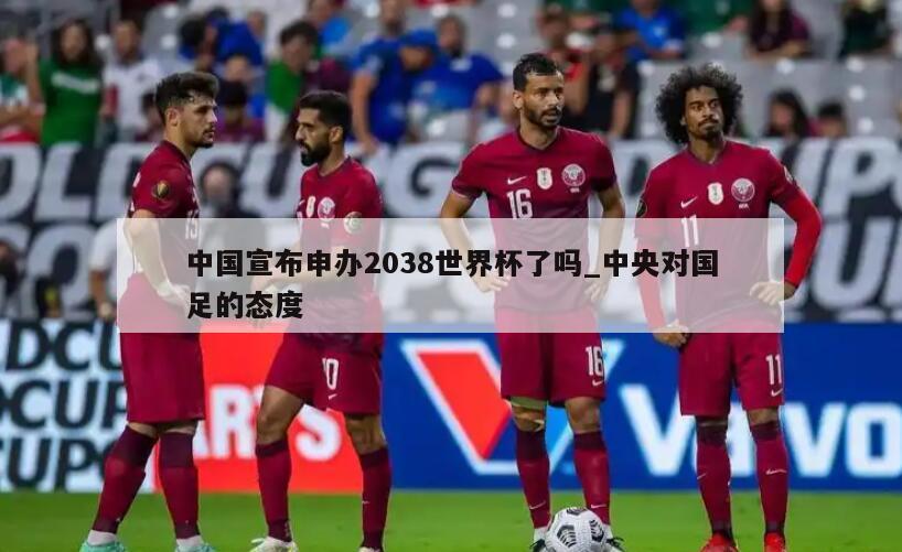 中国宣布申办2038世界杯了吗_中央对国足的态度