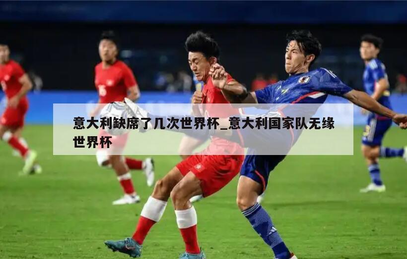 意大利缺席了几次世界杯_意大利国家队无缘世界杯