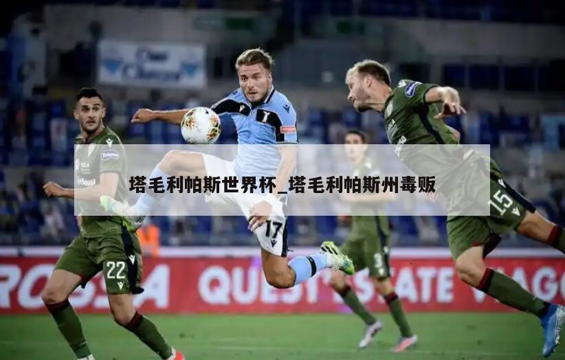 塔毛利帕斯世界杯_塔毛利帕斯州毒贩
