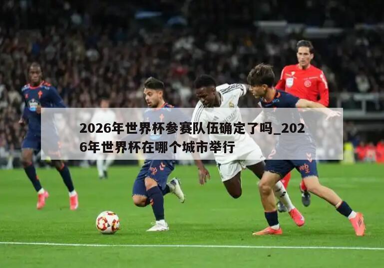2026年世界杯参赛队伍确定了吗_2026年世界杯在哪个城市举行