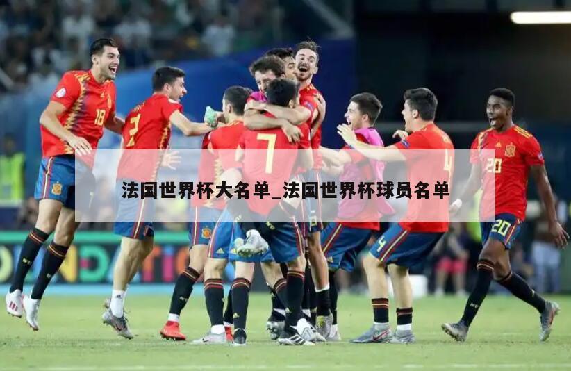法国世界杯大名单_法国世界杯球员名单
